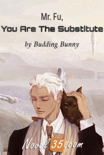Mr. Fu, You Are The Substitute