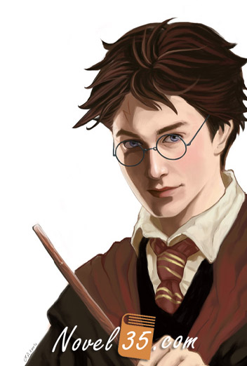 Realistic Harry Potter