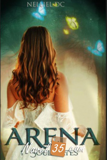 Arena – Book 1: Soulmates