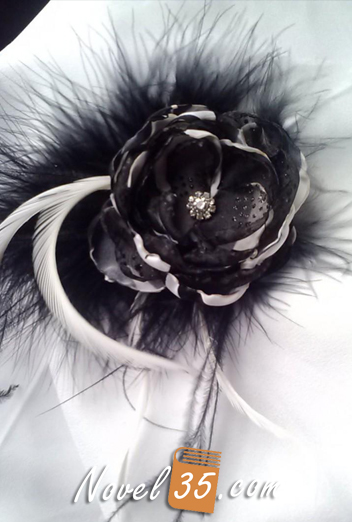 White Flower, Black Feather