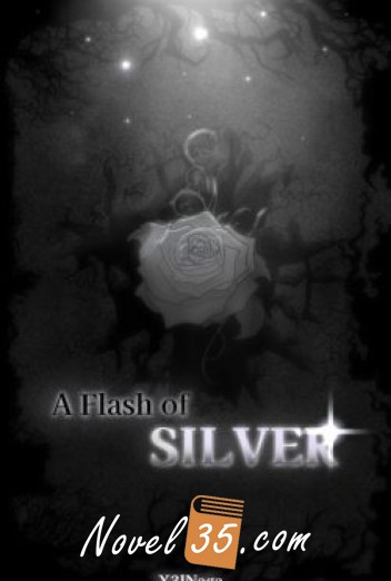 A Flash of Silver