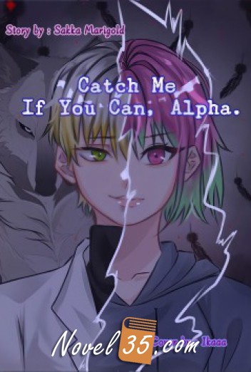 Catch Me If You Can, Alpha